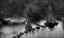 bw-01